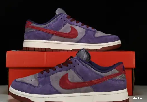 CU1726-500 Low  (2023) Dunk Plum  Nike 0515